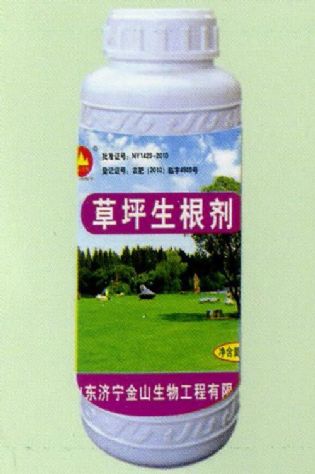 點(diǎn)擊查看詳細(xì)信息<br>標(biāo)題:草坪生根劑 閱讀次數(shù):1456